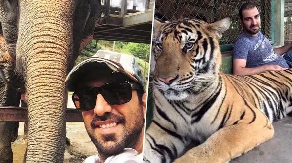 عکس سلفی کیمیایی با یک ببر واقعی + تصاویر 