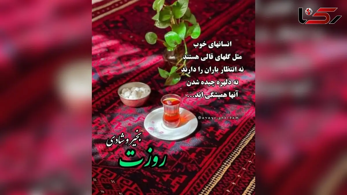 فال و طالع بینی امروز 8 دی 1403 + فیلم 