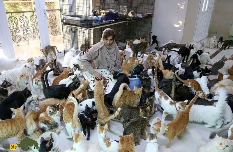 مریم البلوشی
