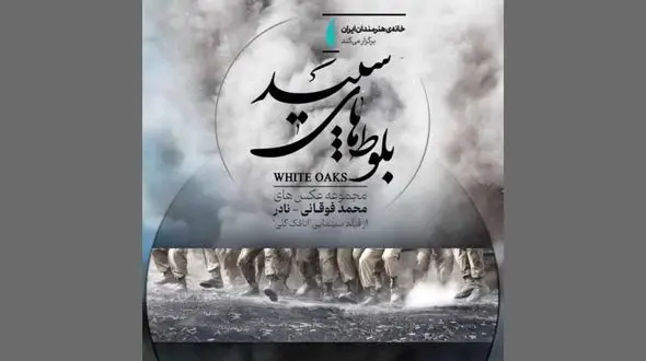 «بلوط‌های سپید» در گالری محیطی خانه هنرمندان ایران