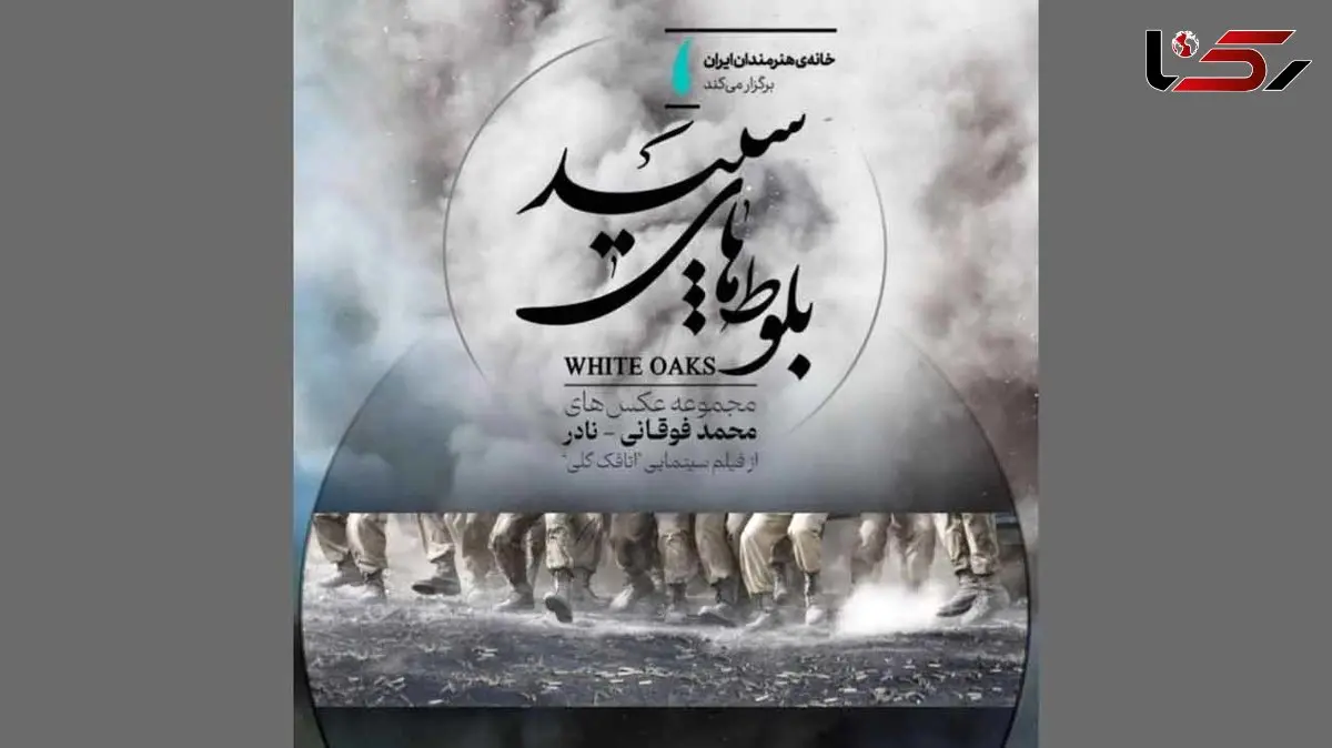 «بلوط‌های سپید» در گالری محیطی خانه هنرمندان ایران