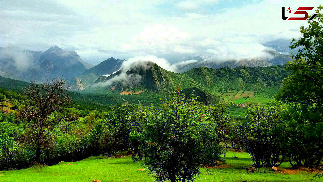 دره نارون یا اناران، زیبایی در شهرستان خرم‌آباد + فیلم 