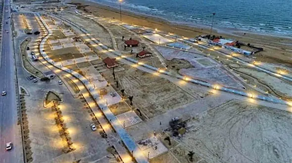 حمله ملخ‌های صحرایی به استان بوشهر / مسافرانی از عربستان