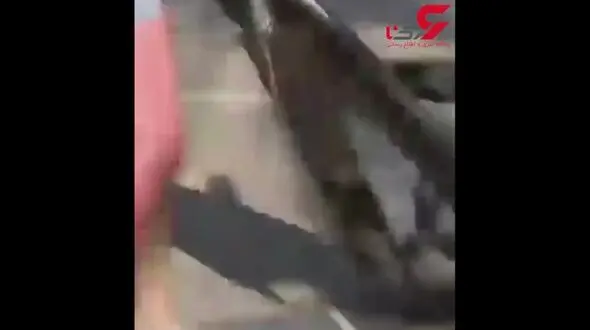 ترکیب کالسکه نوزادان و اسکیت برد والدین+فیلم