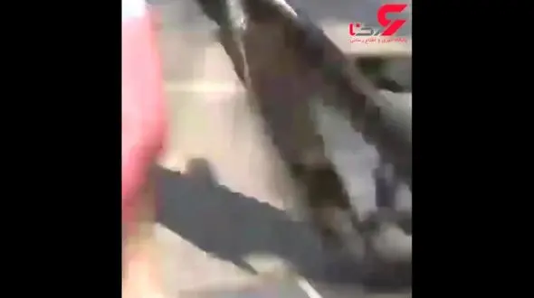 ترکیب کالسکه نوزادان و اسکیت برد والدین+فیلم