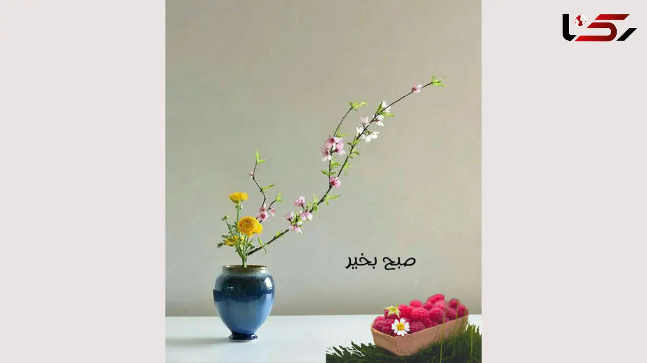 فال روزانه شخصی / 16 شهریور ماه + فیلم