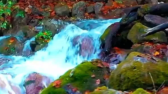 زیبایی تنکابن، جنگل های سه هزار