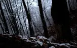 ببینید / نماهنگ زمستان با صدای آرمان گرشاسبی و تصاویر منظره برفی ایران + فیلم 