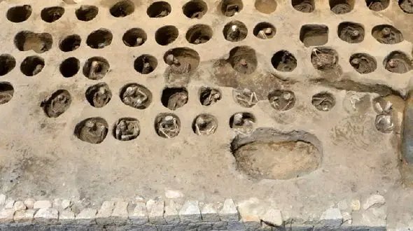 کشف تصادفی یک گور دسته جمعی نادر در ژاپن / حاوی بقایای ۳۵۰ انسان و تعدادی حیوان + عکس