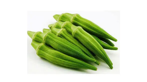 اگر دیابت دارید از این گیاهان غافل نشوید 