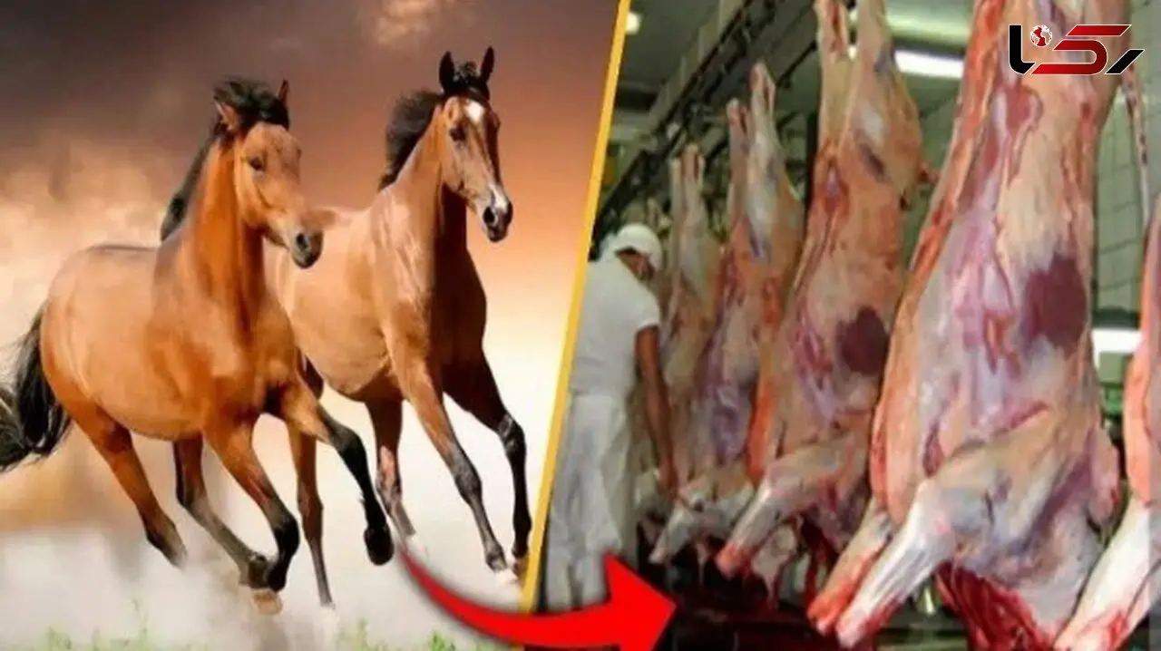 در این شهر گوشت اسب میفروختند
