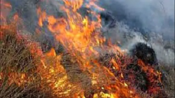 جرقه ترمز قطار عجیب ترین علت آتش سوزی گسترده سلفچگان
