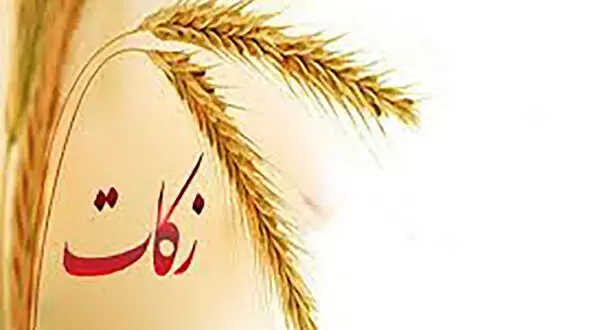 ۹۰ درصد زکات جمع‌آوری شده کشور صرف محرومان می‌شود