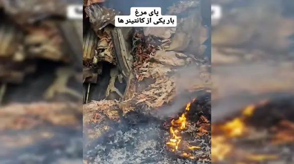 فیلم گفتگو با راننده کانتینر پای مرغ در انفجار بندرعباس ! / ماجرای عجیب ترین بار اسکله شهید رجایی چه بود ؟! 