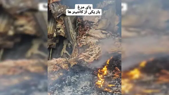 فیلم گفتگو با راننده کانتینر پای مرغ در انفجار بندرعباس ! / ماجرای عجیب ترین بار اسکله شهید رجایی چه بود ؟! 