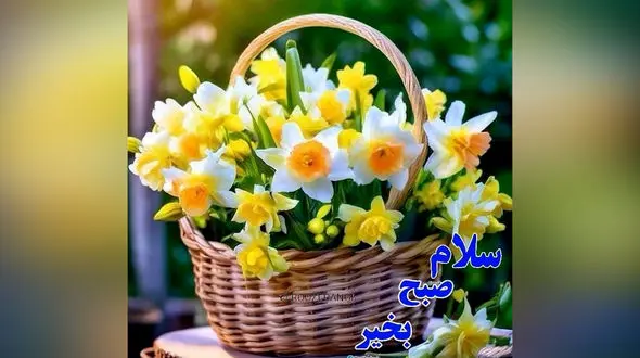 جملات سلام صبح بخیر زیبا + فیلم