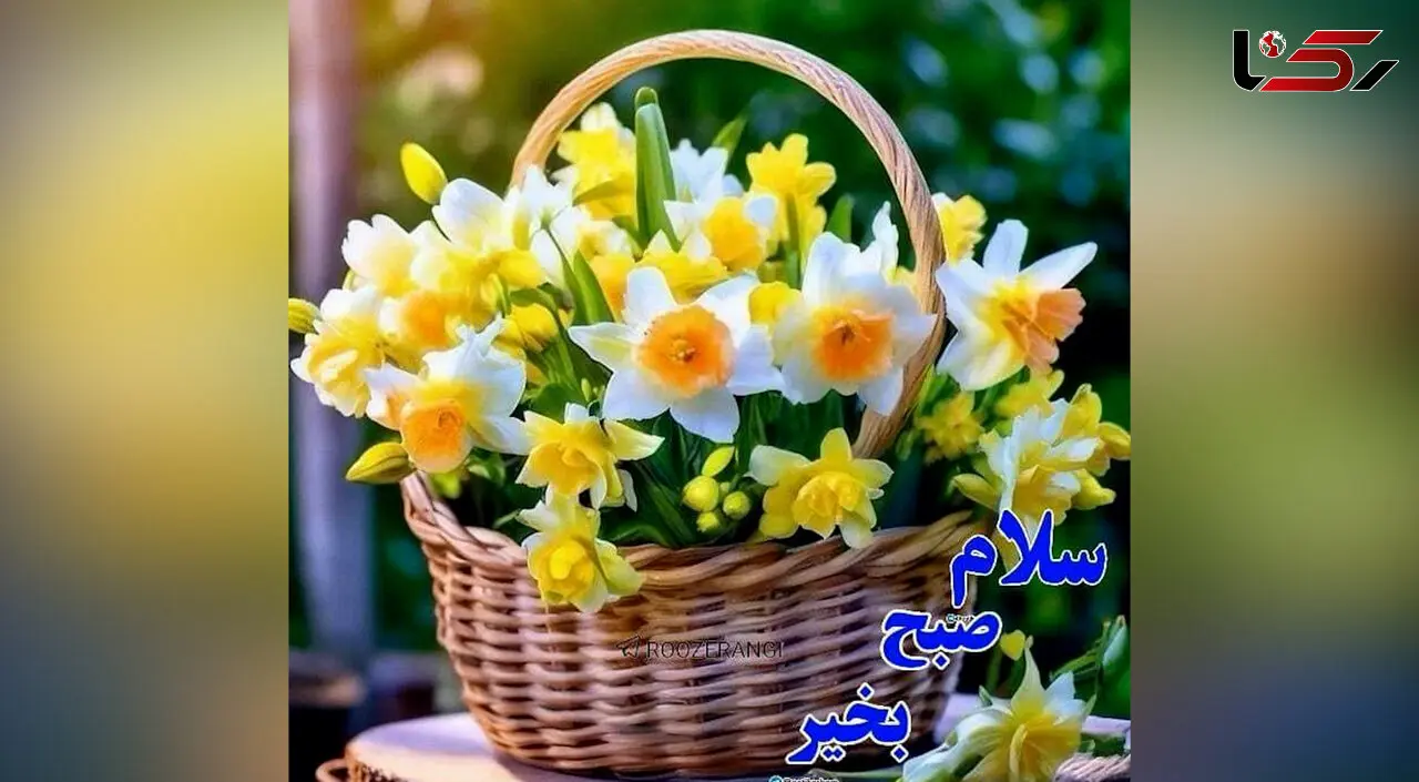 جملات سلام صبح بخیر زیبا + فیلم