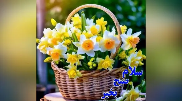 جملات سلام صبح بخیر زیبا + فیلم