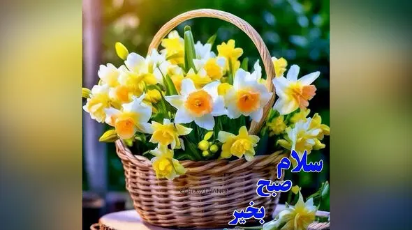 جملات سلام صبح بخیر زیبا + فیلم