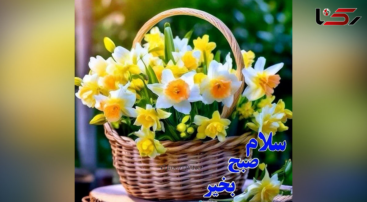 جملات سلام صبح بخیر زیبا + فیلم