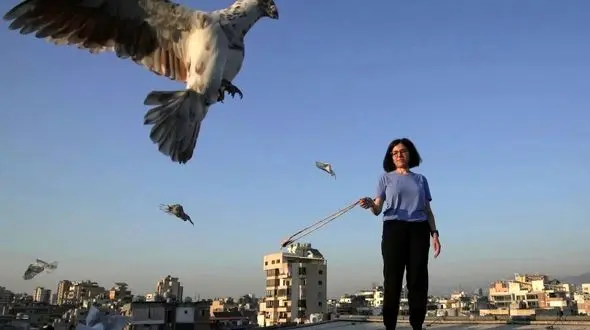 کفتربازی در لبنان؛ زن لبنانی که عشقش به پرواز را نشان می‌ دهد + عکس