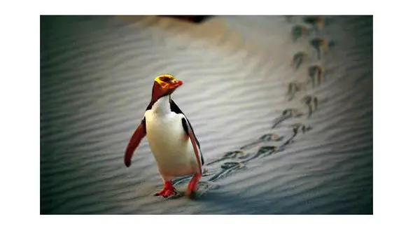  پنگوئن چشم زرد در معرض انقراض