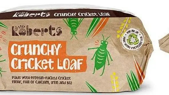 نان جیرجیرک محبوب سلبریتی های مشهور+عکس