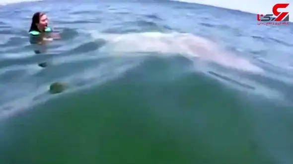 سلفی با خورشید ماهی + فیلم