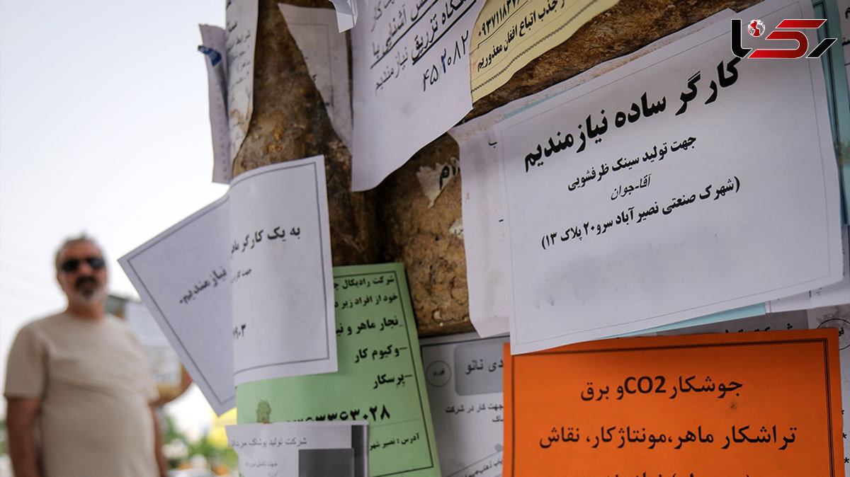 فرصت های شغلی در دوران جنگ 12 روزه ۸۱ درصد کاهش یافت / کدام دسته از مشاغل بیشتر آسیب دیدند؟ + نمودارهای آماری