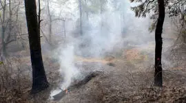 رسانه‌ها حلقه ارتباط میان مردم و نیروهای امدادی در بحران دیزمار شدند