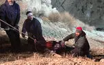 فیلم / سقوط مرگبار پژو 206 به دره 70 متری در بزرگراه خرازی / 2 زن در دم جان باختند