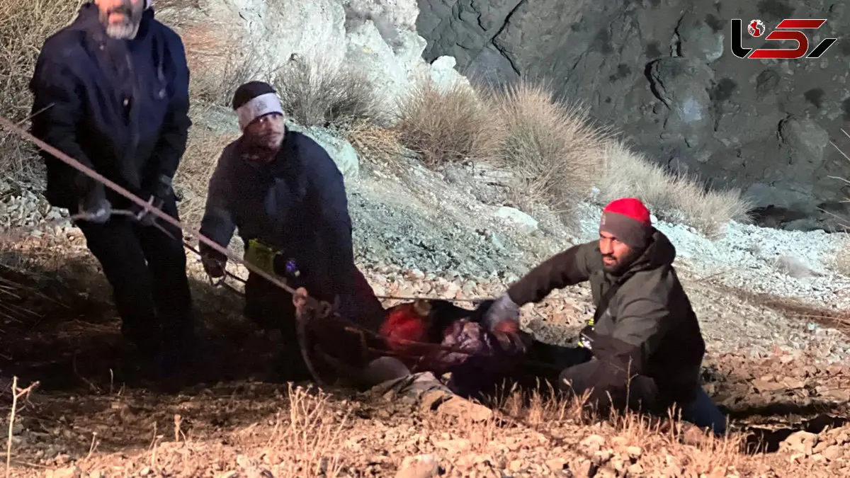 فیلم / سقوط مرگبار پژو 206 به دره 70 متری در بزرگراه خرازی / 2 زن در دم جان باختند