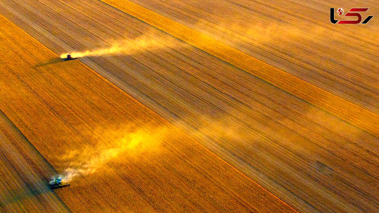 تصاویر هوایی شگفت انگیز از مزارع استرالیایی ها 