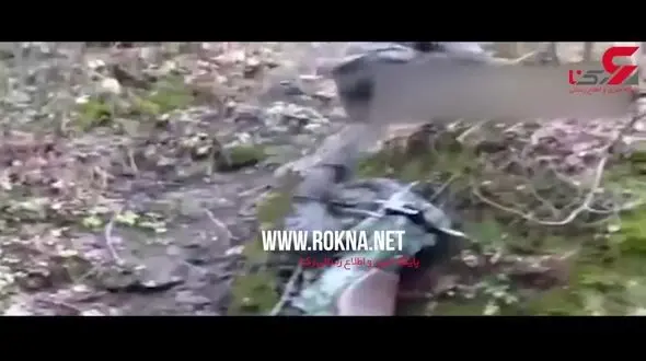 موتورسیکلتی که در کیف جا می شود! + فیلم 