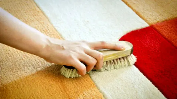 راهکار سه سوته برای جمع کردن موها از روی فرش 