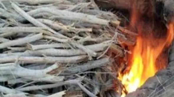 دود زغال مردم خمینی شهر را شاکی کرد!