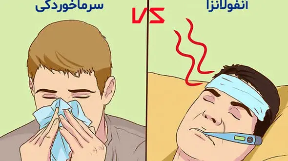 ممنوعیت های خوردنی برای سرماخورده ها