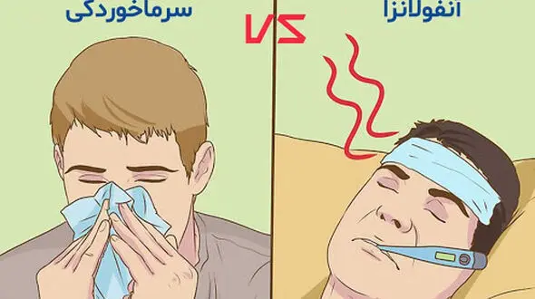 ممنوعیت های خوردنی برای سرماخورده ها