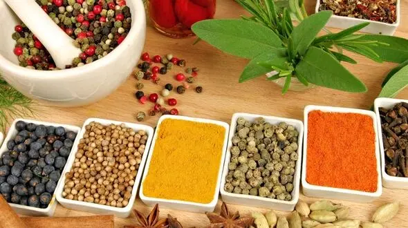 داروخانه ای به اسم ادویه!+ فیلم