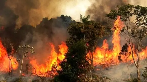 خائیز همچنان در آتش می‌سوزد/ استمداد از نیروهای مردمی جهت خاموش کردن آتش