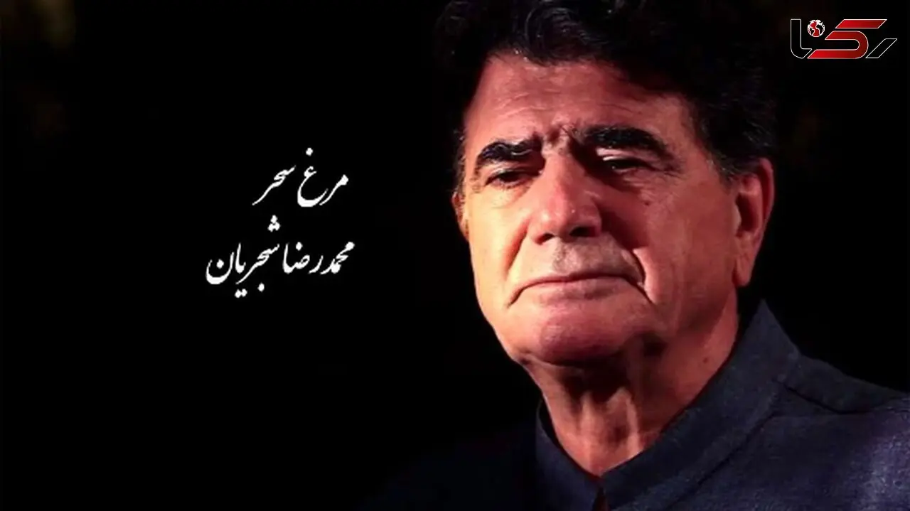 مرغ سحر، شورانگیزترین اجرای زنده استاد شجریان با تصنیف ملک‌الشعرا بهار / صدایی که انگار از بهشت اومده، مگه میشه این آواز رو شنید و از خود بیخود نشد +فیلم
