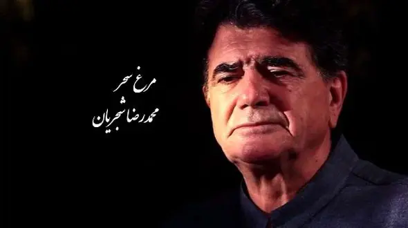 مرغ سحر، شورانگیزترین اجرای زنده استاد شجریان با تصنیف ملک‌الشعرا بهار / صدایی که انگار از بهشت اومده، مگه میشه این آواز رو شنید و از خود بیخود نشد +فیلم