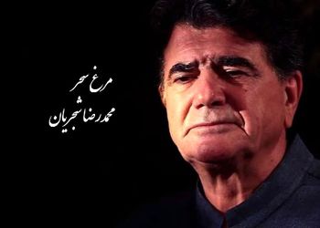 مرغ سحر، شورانگیزترین اجرای زنده استاد شجریان با تصنیف ملک‌الشعرا بهار / صدایی که انگار از بهشت اومده، مگه میشه این آواز رو شنید و از خود بیخود نشد +فیلم