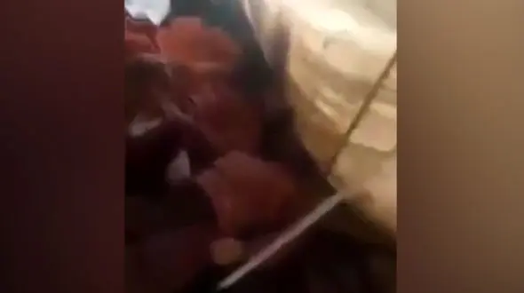 فیلم صحنه جنازه های طالبان در پنجشیر / غرش نیروهای احمد مسعود