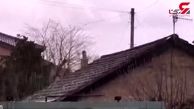 فیلم عجیب از بارش تگرگ های 2 سانتی در انگلستان
