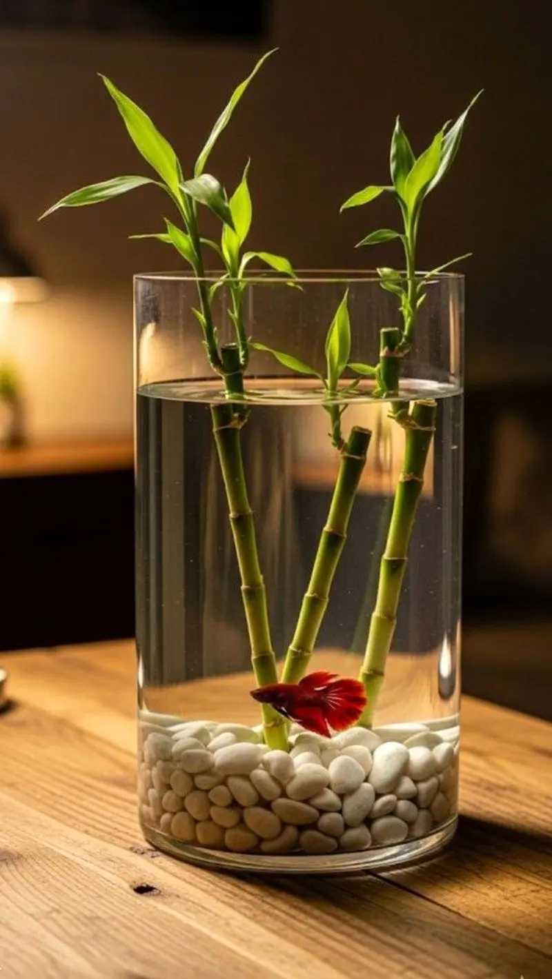 مدل تنگ ماهی هفت سین ۱۴۰۵ | مدل تنگ ماهی مدرن تا فانتزی برای هفت سین ۱۴۰۵ با ایده هایی برای عروس های هنرمند!