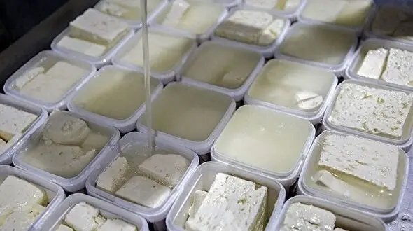 افزایش چشمگیر قیمت پنیر در ۱۰ روز گذشته
