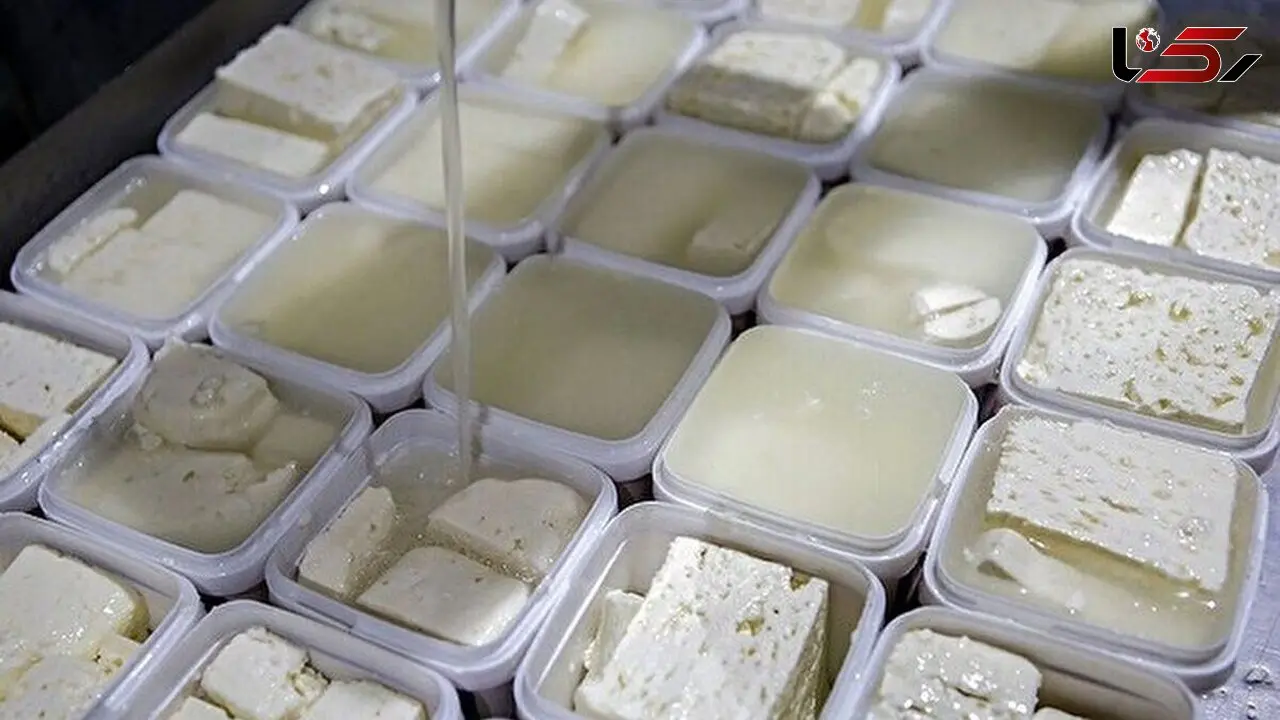 افزایش چشمگیر قیمت پنیر در ۱۰ روز گذشته