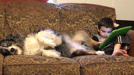 فیلم بازی های جالب پسر 3 ساله با سگ خانه میلیون ها بازدید داشته است+عکس