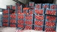 قاچاق پیاز با کامیون‌های حامل گوجه!